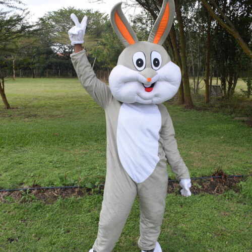 Mascot of Mapple the Bunny