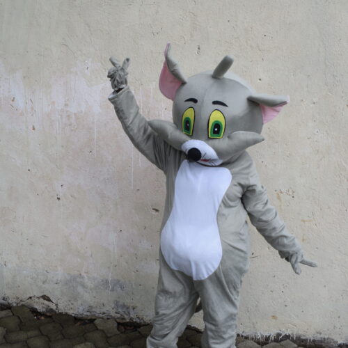 An image of a Mascot costume Tom the Cat