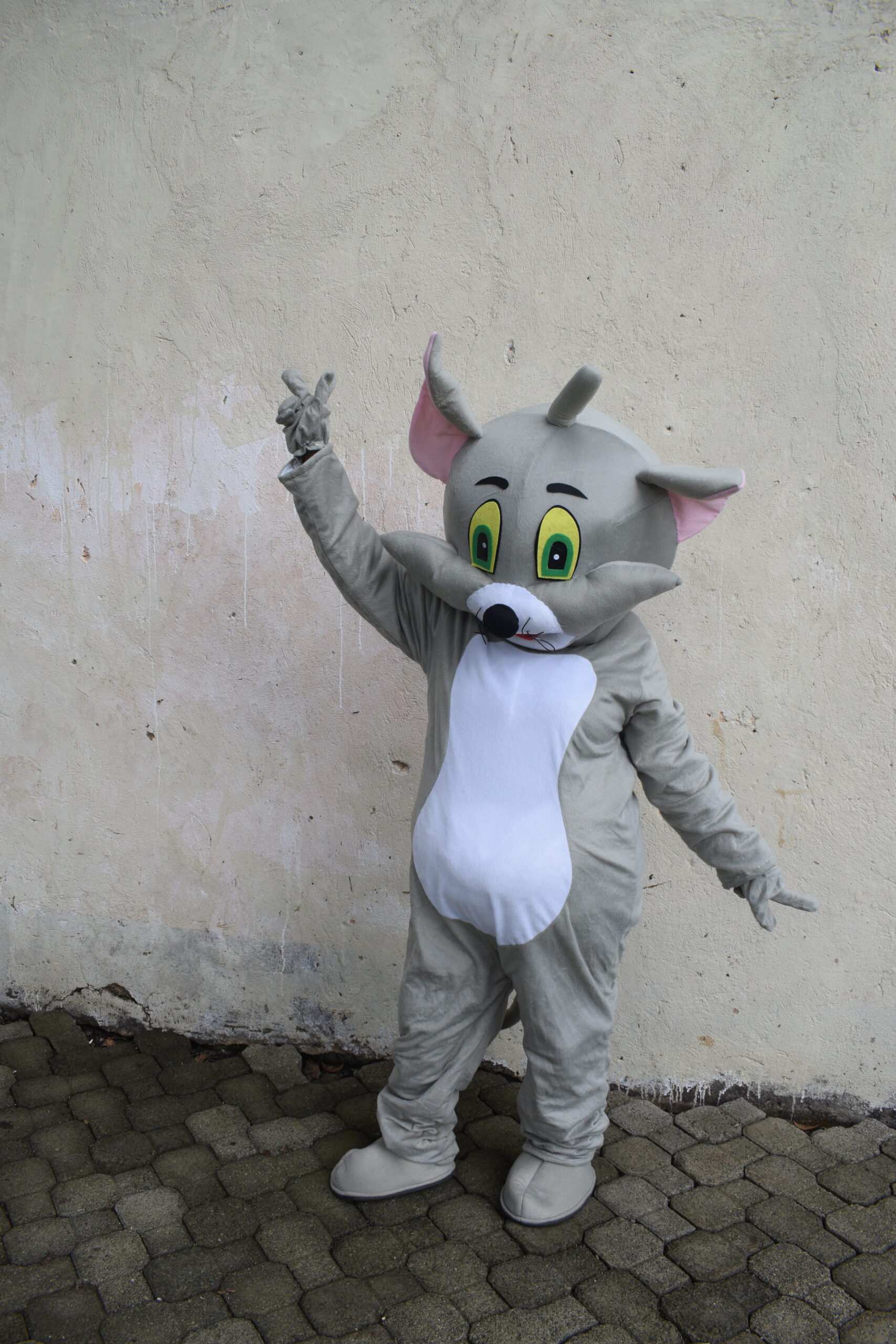An image of a Mascot costume Tom the Cat