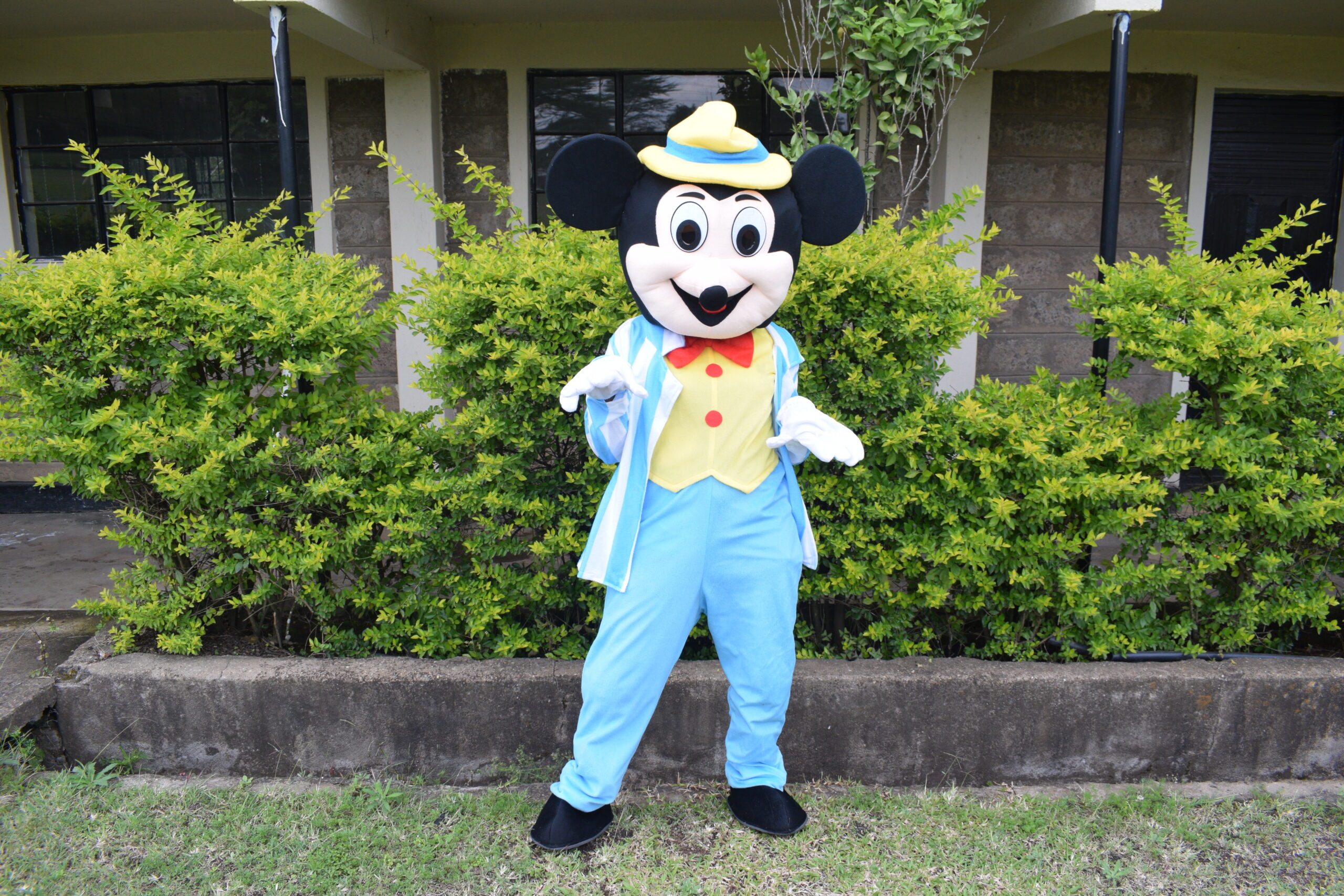 Yellow Mickey