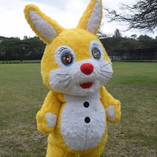 cheerful yellow mascot who brings energy, smiles, and playful hops to every event