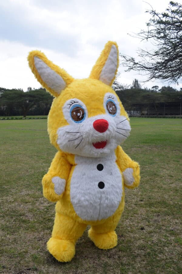 cheerful yellow mascot who brings energy, smiles, and playful hops to every event