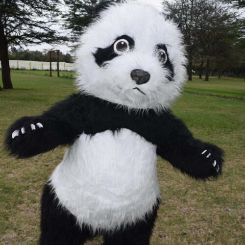 Mascot Panda