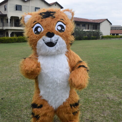 Baby Tiger Mascot